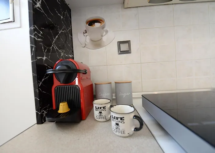 公寓 Ionian Luxury 帕拉马